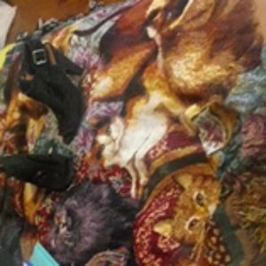 Brand new heals only worn once